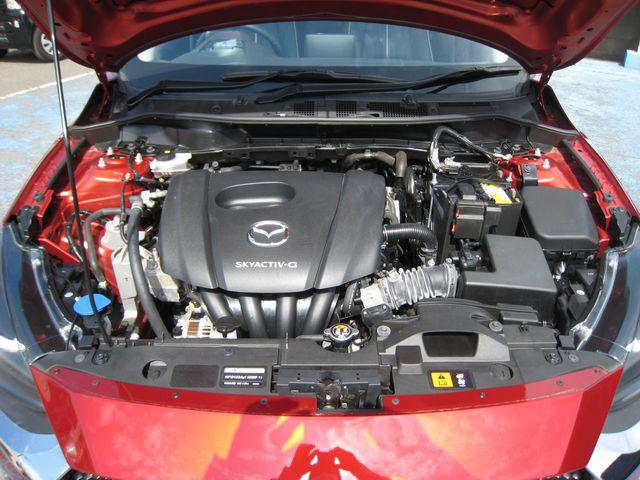 cf8986c2b65d2d01cfe37f3ec040a39d.jpg