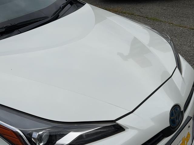 0706195A30260918W00208.jpg