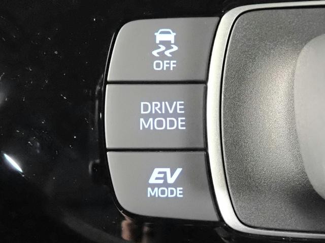 0204644A30260820W00408.jpg