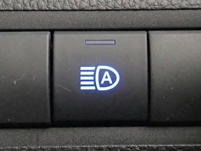 0204644A30260820W00411.jpg