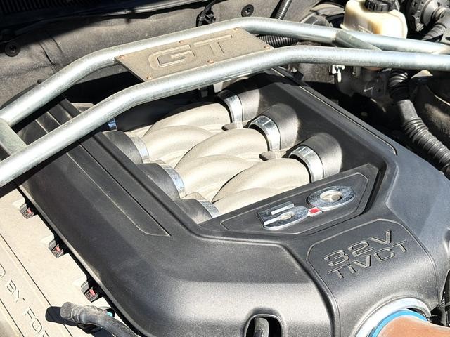 0700435A30261009W00103.jpg