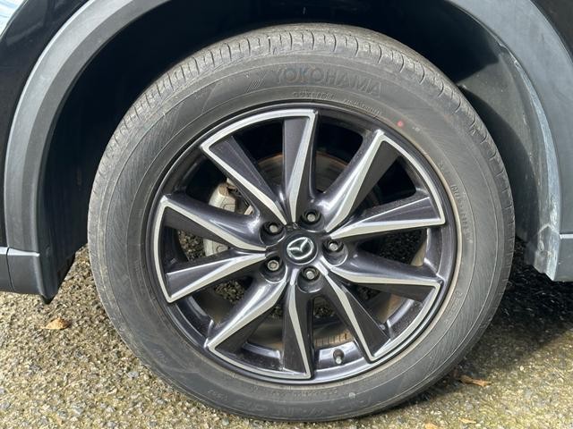 0540815A30260906W00114.jpg