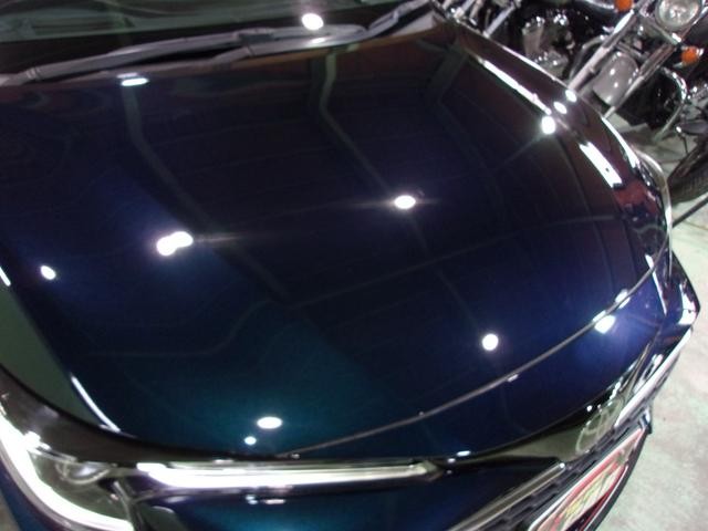 0206447A30260910W00111.jpg