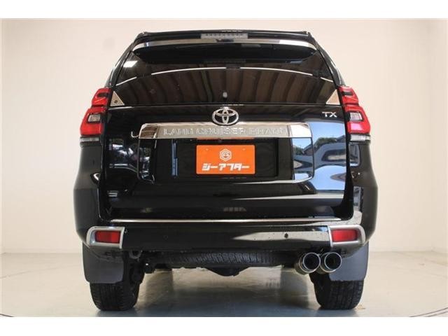27190211_carP_l_5.jpg