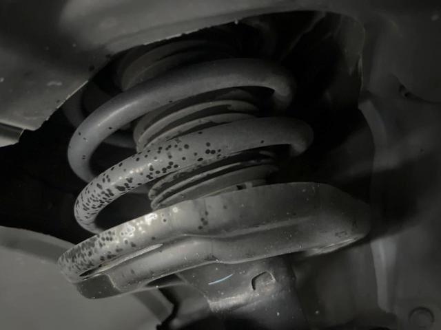 26084390_carP_l_20.jpg