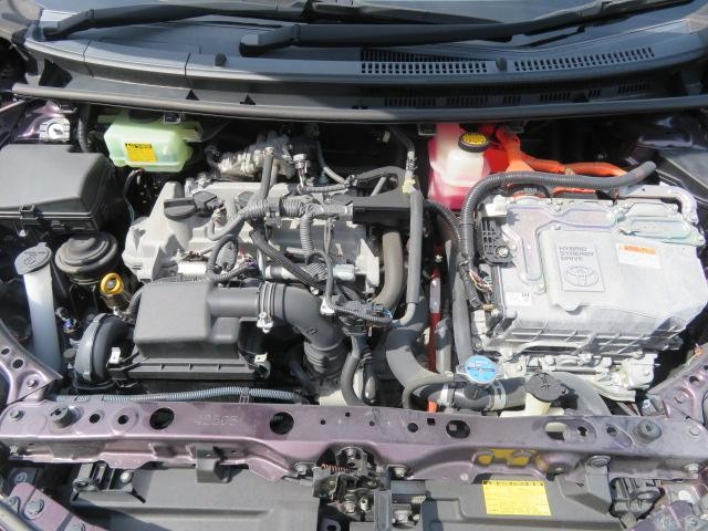 1150016A30260826W00417.jpg