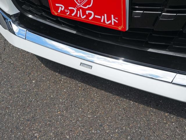 0208689A30260804W00219.jpg