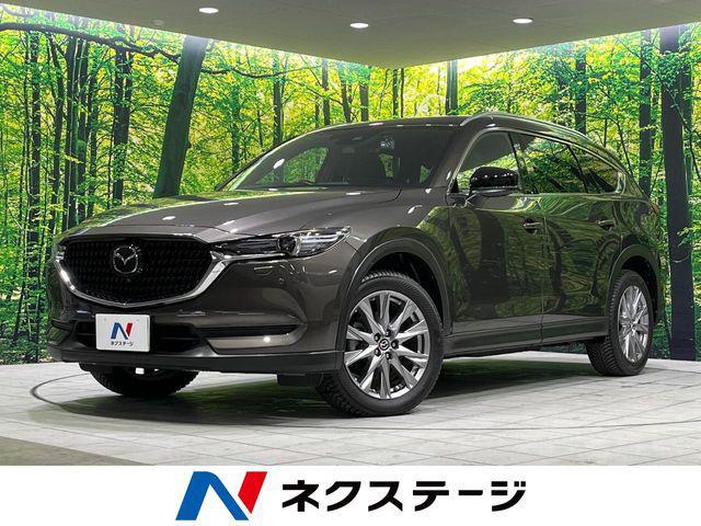 d1daf0876edf761f606a2b098828466b.jpg