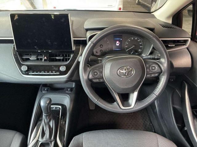 25928138_carP_l_15.jpg