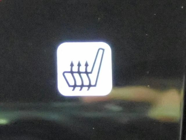 0207791A30260926W00206.jpg