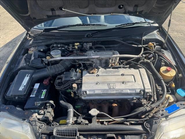 0520456A30261016W00108.jpg