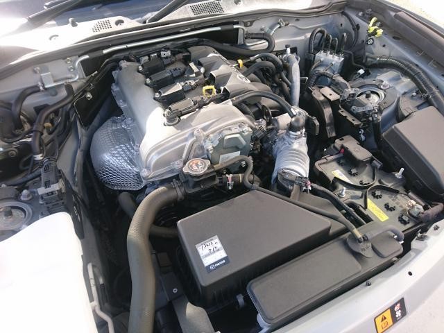 27250569_carP_l_17.jpg