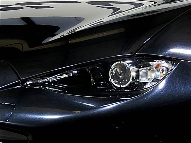 0207077A20260905D00309.jpg