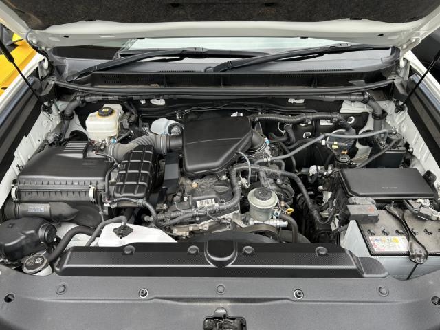 24488655_carP_l_18.jpg