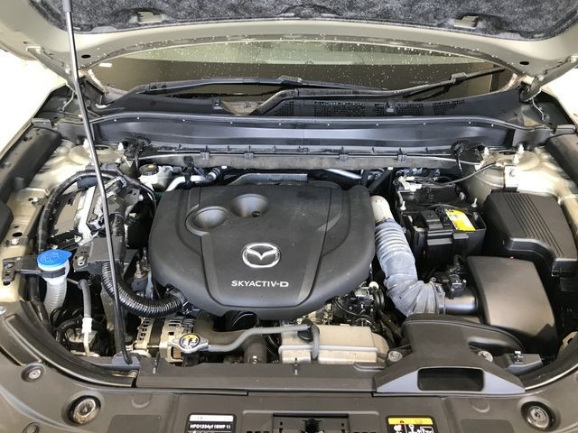 11bf4511dca259eea3aabca750770b16.jpg