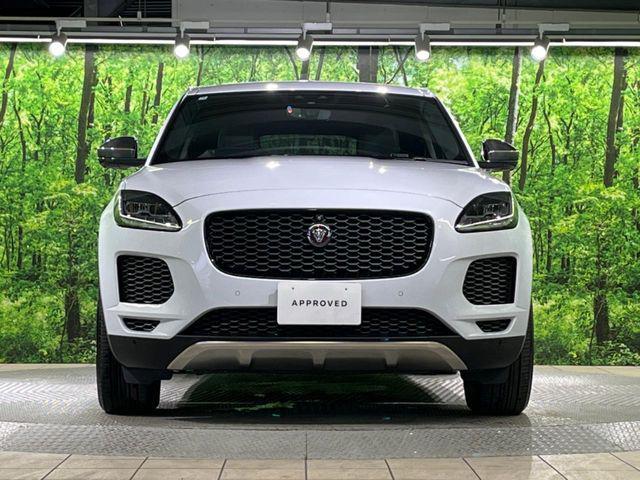 e1031bdc2e698272ab8dde031770ee46.jpg