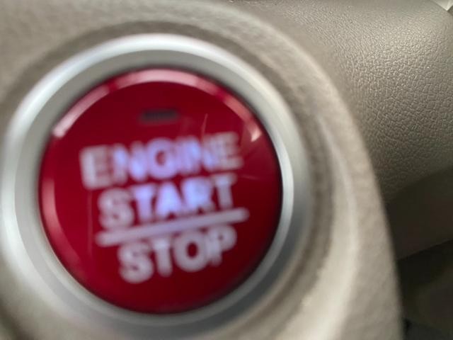 0403992A30260725W00214.jpg
