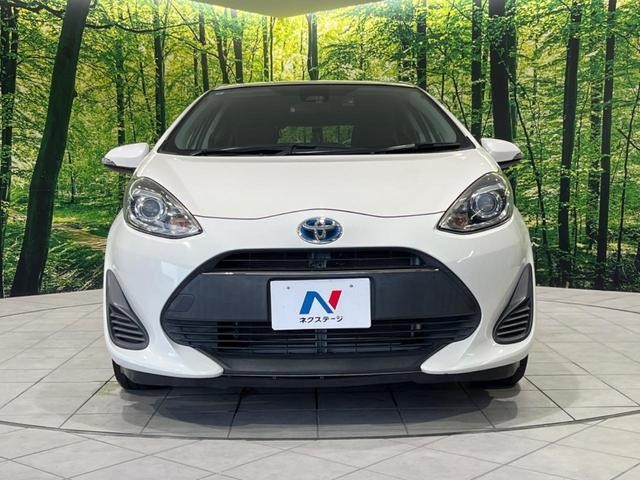 26534263_carP_l_8.jpg