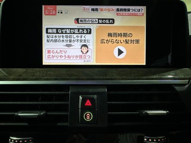 24500590_carP_l_14.jpg