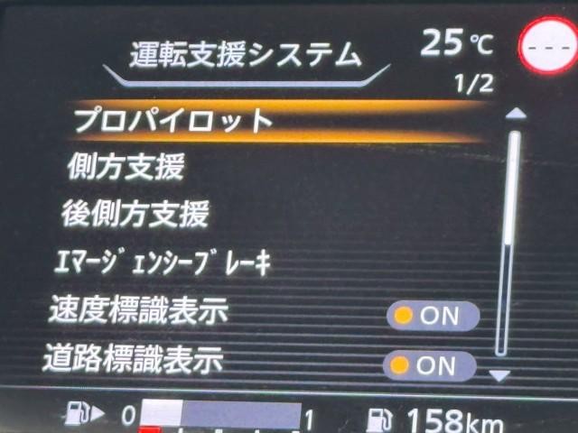 25096276_carP_l_16.jpg
