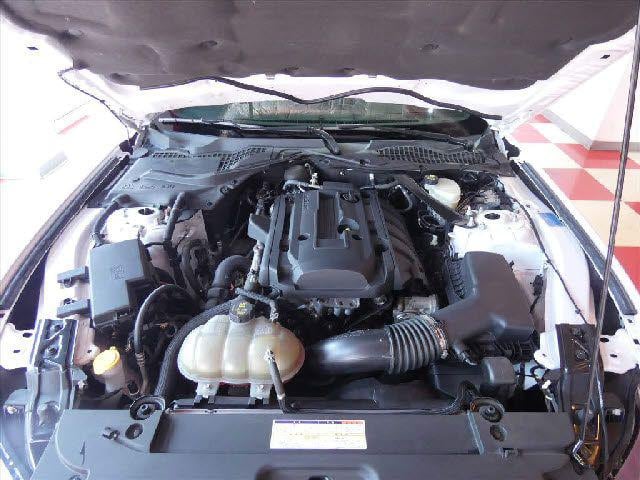 ed8164cb1fc24798112cac0507d4435d.jpg