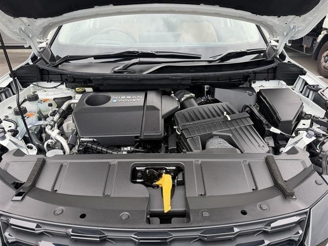 e804739736ca2f3850a6c4859ec18db9.jpg