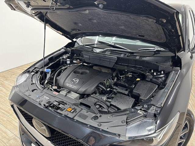 2fe9f5016f894ce6fca57502d731cc69.jpg