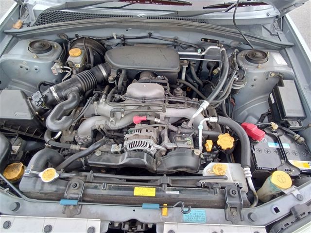 08.jpg