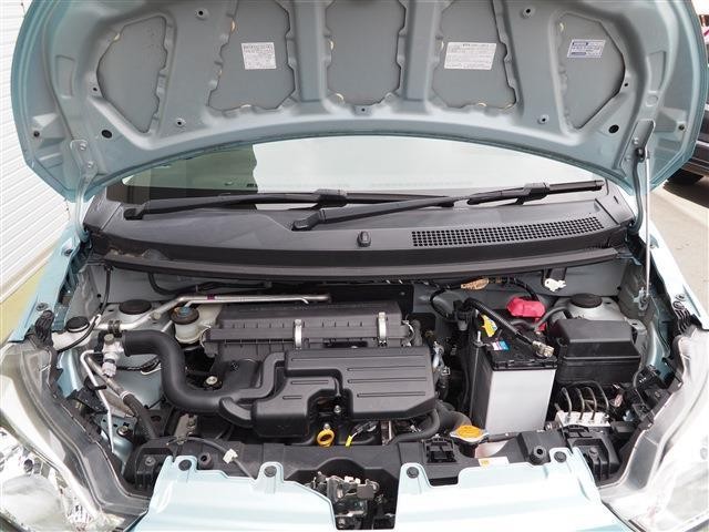26215548_carP_l_18.jpg