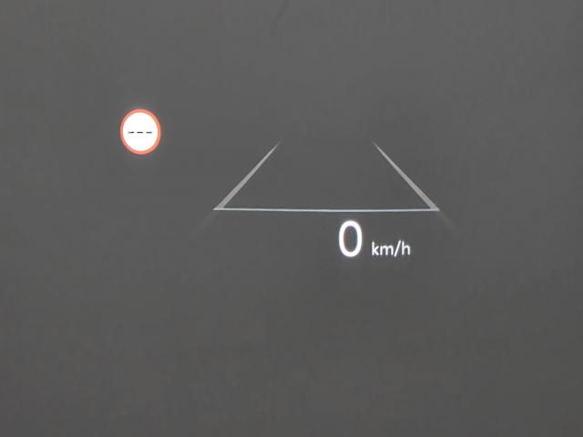 9253e45235d032e70bbb4030d1013230.jpeg