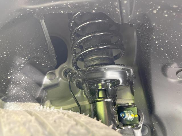 24500952_carP_l_20.jpg