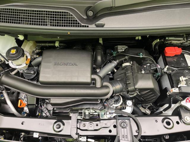 24500965_carP_l_16.jpg