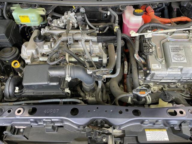 24320748_carP_l_16.jpg