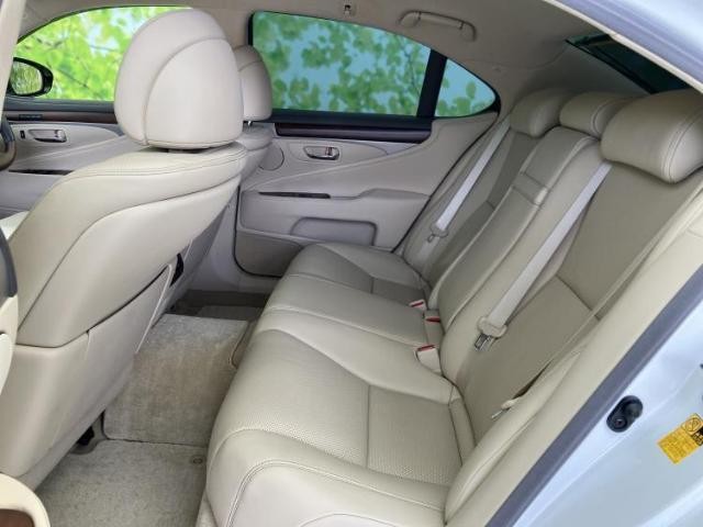 25163404_carP_l_14.jpg
