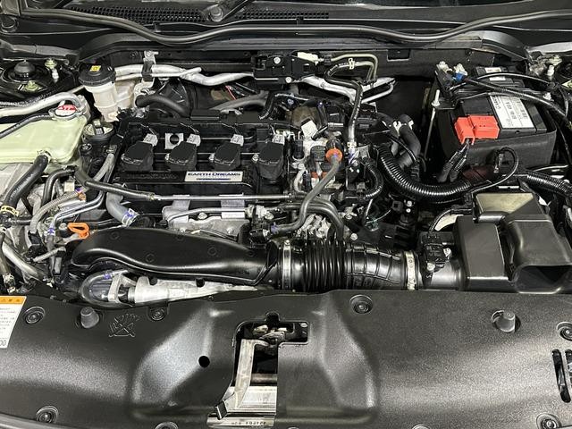 0701248A30260227W00102.jpg