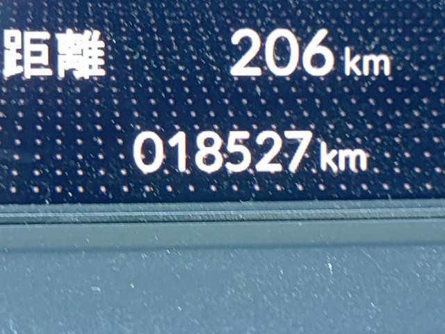 26161510_carP_l_2.jpg