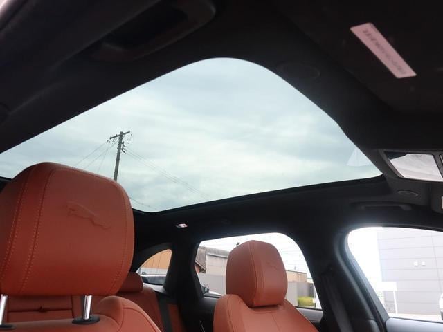 19084315_carP_l_4.jpg