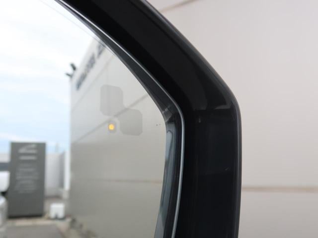 19084315_carP_l_8.jpg