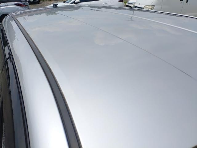 26161512_carP_l_14.jpg