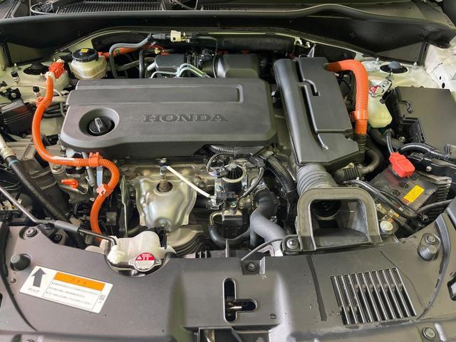 24440775_carP_l_16.jpg