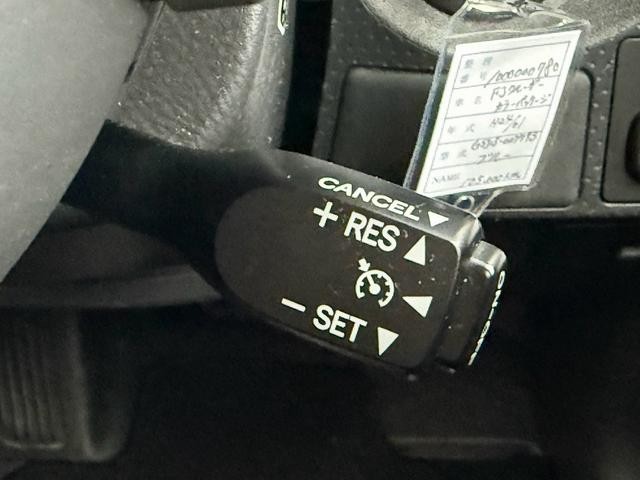 0209521A30260910W00110.jpg