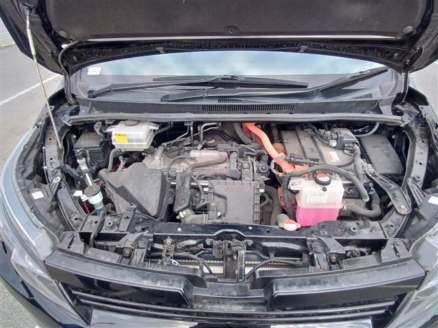 08.jpg