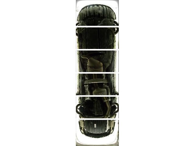 25932832_carP_l_7.jpg
