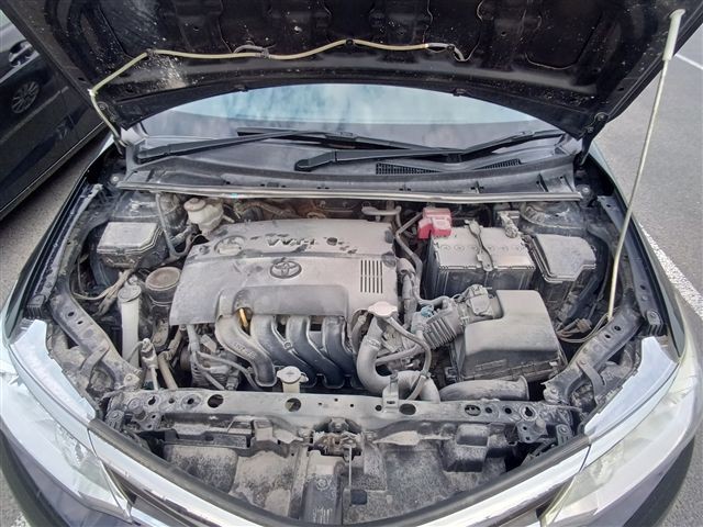 08.jpg