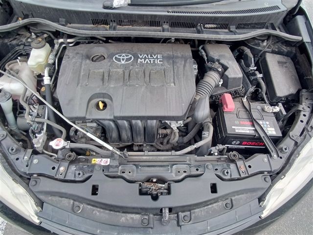 08.jpg