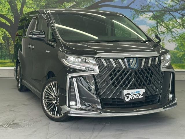 24111195_carP_l_13.jpg