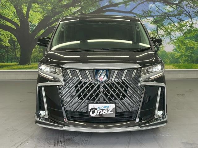 24111195_carP_l_15.jpg