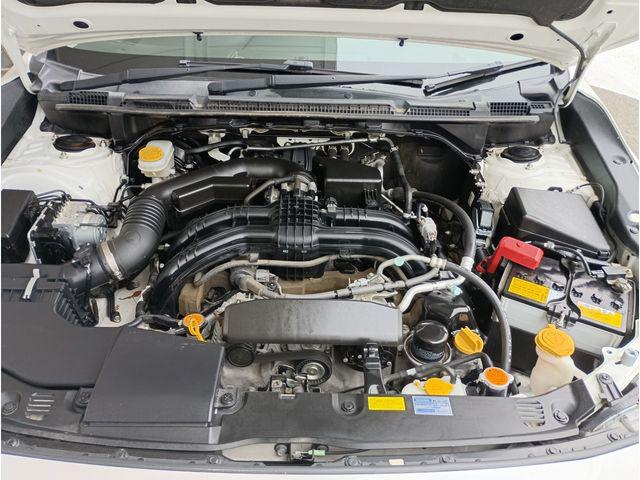 c220c0179bb3aa738c38fd8e066e1df6.jpg
