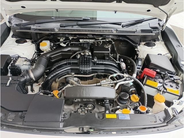 c220c0179bb3aa738c38fd8e066e1df6.jpg