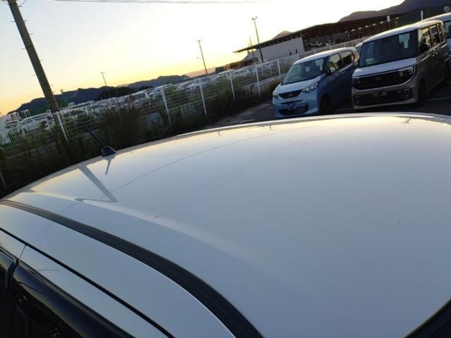 27154068_carP_l_14.jpg